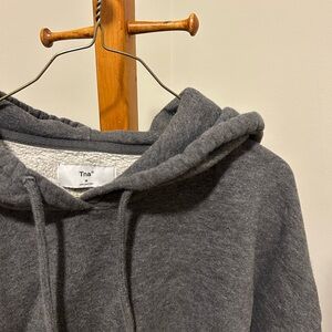 Tna Gray Cropped Hoodie